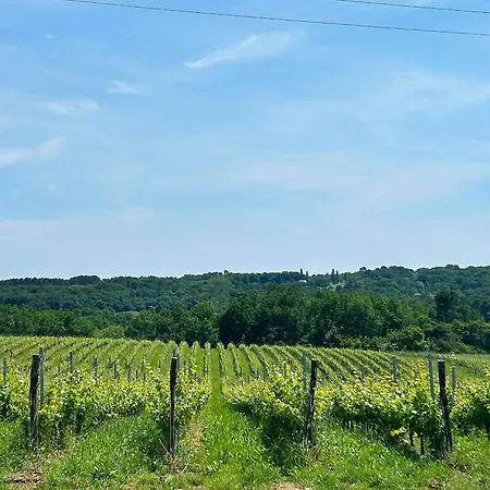 Le Edouard - Proche Bordeaux Bed & Breakfast 3*